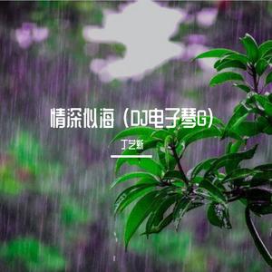 情深似海 (DJ电子琴G)