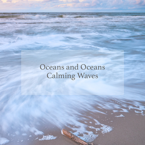 Bay Waves on Rocks and Sand