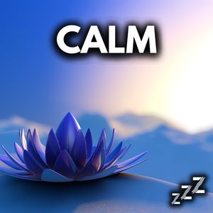Cleansing (Loopable)