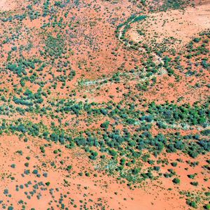 Songlines