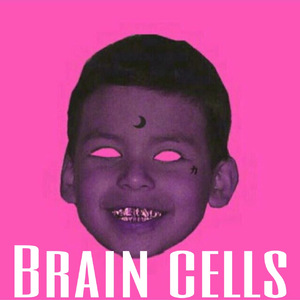 Brain cells