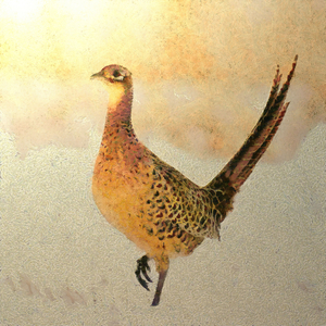 까투리 (feat. 윤세연)