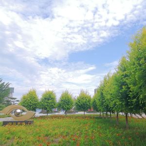 天空是什么颜色