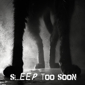 Sleep Too Soon (Catnap Song - Poppy Playtime)