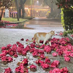 人们永远无法预知片刻的价值