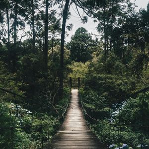 选自己喜欢的路