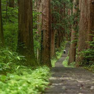 温润婉耳（轻音乐）