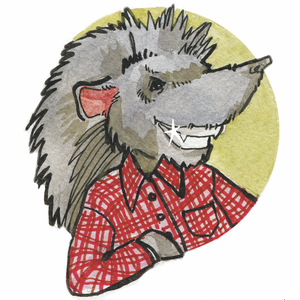 Сказка о том, как звери звезды ловили