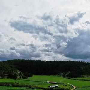 San Isidro De Las Calabazas Tepehuanes Durango Mexico