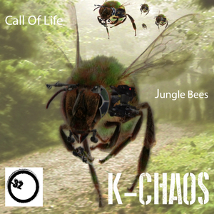 Jungle Bees (Original Mix)