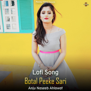 Botal Peeke Sari - Lofi Song