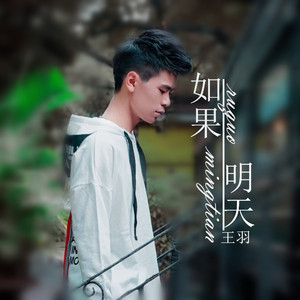 王羽—如果明天