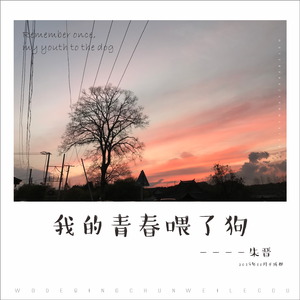 我的青春喂了狗