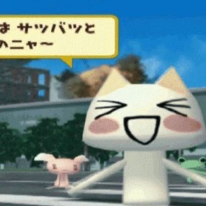 一年一度的猫猫节