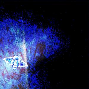 geekedddddd (㇏(•̀ᵥᵥ•́)ノ) (queervampiric x crysalis)