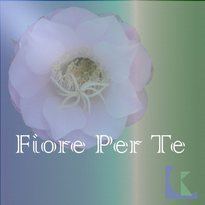 Fiore Per Te (Instrumental)