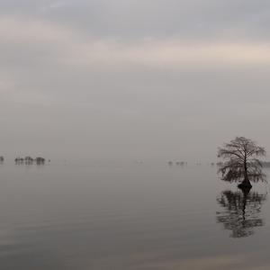 If You Know (feat. Scottie Trippin)