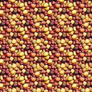 Uncle Tom's Potatoes