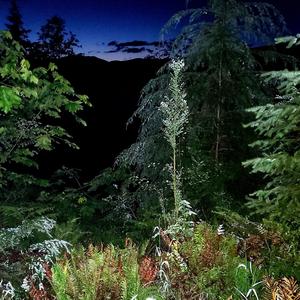 bat handler (feat. $PELLCASTER)