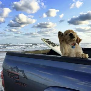 那片海的浪不会停