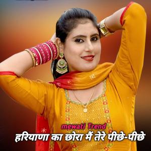 हरियाणा का छोरा मैं तेरे पीछे-पीछे