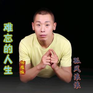 难忘的人生 (伤感版)