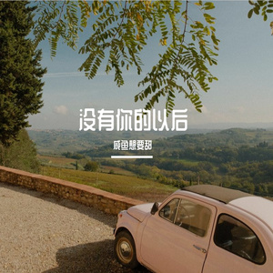 没有你以后