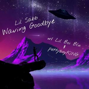 waving goodbye (feat. Lil Boi Blu & pettyboyKING)