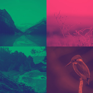 有趣积极情绪情怀