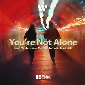 You're Not Alone (Radio Edit)