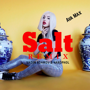 Salt (Vadim Adamov & Hardphol Remix)
