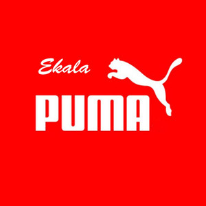 Puma (Original Mix)