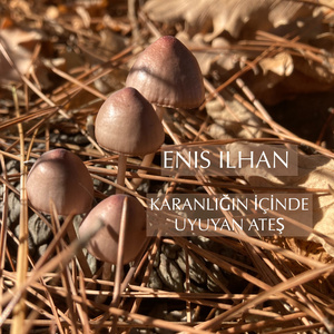 Karanlığın İçinde Uyuyan Ateş