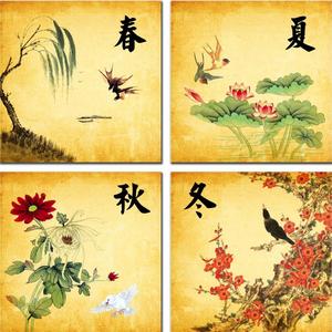 秋意泛黄