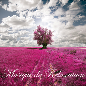 Musique de relaxation (Respiration)