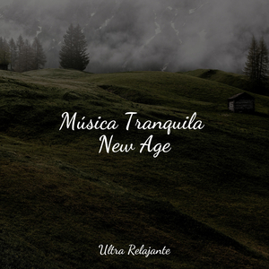 Burbujas En El Tiempo