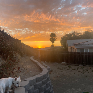 storm (feat. Adam Vito)