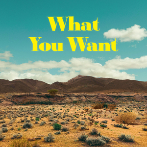 What You Want (Feat. Ella J)
