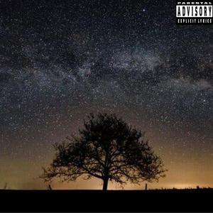 Stargazing