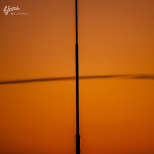 抱きしめられたい