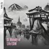 DJ Vans - Dj Melody of Life Edm (Remix)