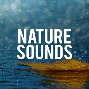 Mashine Noise (Loopable) (Original Mix)