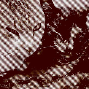 LOVE AGAIN