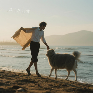 归2