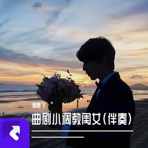 喜娃娃电子琴音乐 (Demo)