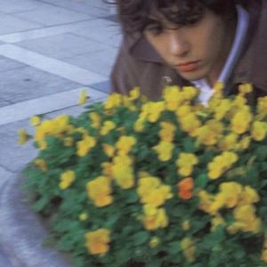 不会说谎的恰恰(翻自 马思唯/DP龙猪）