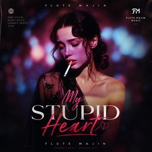 My Stupid Heart