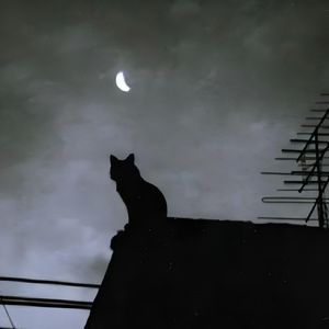银色月光