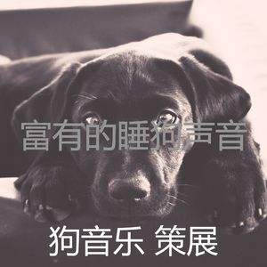 微妙的训练犬心情