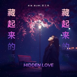 藏起来的爱 (Hidden Love)